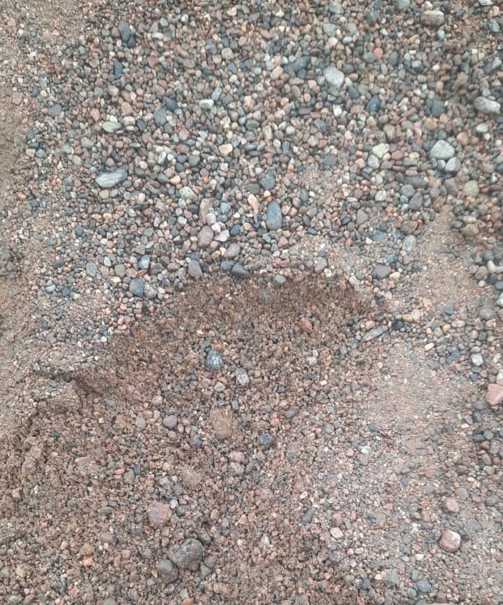 ПГС